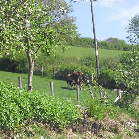 Staylittle Farm Dolgellau Exterior foto